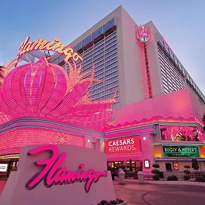 Flamingo Vegas Hotel&casino Resort